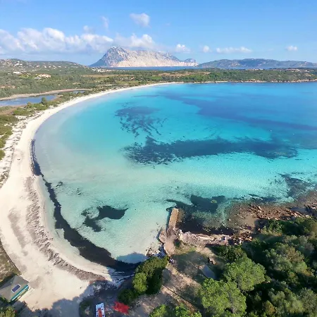 Iss Travel, San Teodoro 1 - 100 M From Cala D'ambra * San Teodoro (Sardinia)