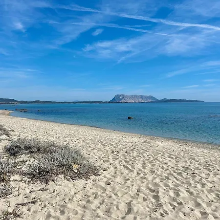 Iss Travel, 1 - 100 M From Cala D'ambra Apartament San Teodoro (Sardinia)