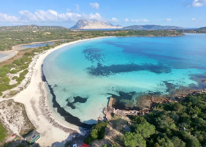 Iss Travel, 1 - 100 M From Cala D'ambra * San Teodoro (Sardinia)