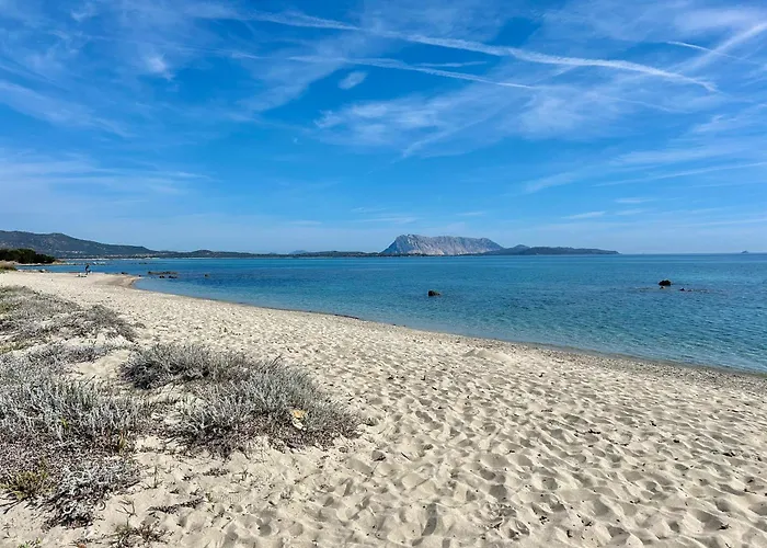 Iss Travel, 1 - 100 M From Cala D'ambra Appartement San Teodoro (Sardinia)